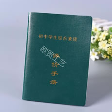 綜合素質(zhì)評(píng)價(jià)手冊(cè)