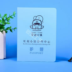 創(chuàng)意護(hù)照