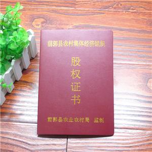 吉林前郭縣股權(quán)證定做