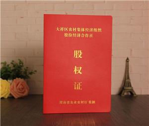 湖南省大祥區(qū)股權(quán)證書定制