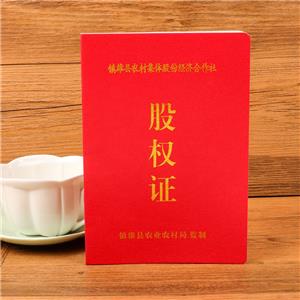 鎮(zhèn)雄縣股權(quán)證